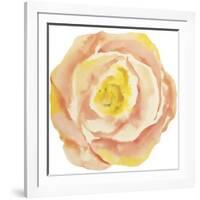 Washy Rose-Jean Plout-Framed Giclee Print