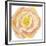 Washy Rose-Jean Plout-Framed Giclee Print