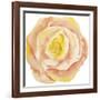 Washy Rose-Jean Plout-Framed Giclee Print