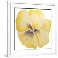 Washy Yellow Pansie-Jean Plout-Framed Giclee Print