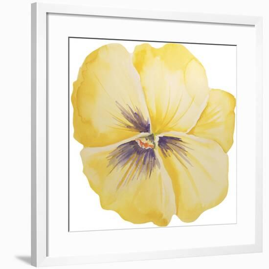 Washy Yellow Pansie-Jean Plout-Framed Giclee Print