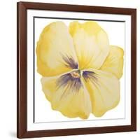 Washy Yellow Pansie-Jean Plout-Framed Giclee Print