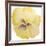 Washy Yellow Pansie-Jean Plout-Framed Giclee Print