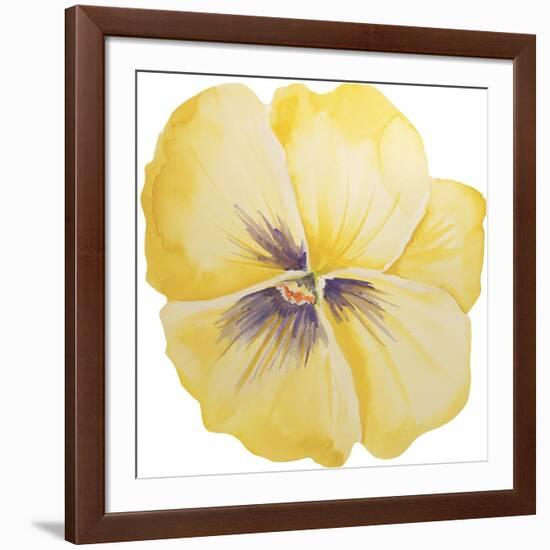 Washy Yellow Pansie-Jean Plout-Framed Giclee Print