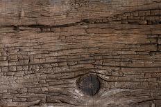 Stacked Logs Background-wasja-Stretched Canvas