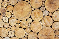 Stacked Logs Background-wasja-Stretched Canvas