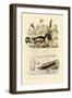 Wasp, 1833-39-null-Framed Giclee Print