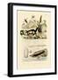 Wasp, 1833-39-null-Framed Giclee Print