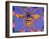 Wasp, 1995-Peter Wilson-Framed Giclee Print