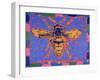 Wasp, 1995-Peter Wilson-Framed Giclee Print