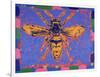 Wasp, 1995-Peter Wilson-Framed Giclee Print