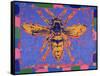 Wasp, 1995-Peter Wilson-Framed Stretched Canvas