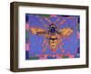 Wasp, 1995-Peter Wilson-Framed Premium Giclee Print