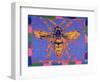 Wasp, 1995-Peter Wilson-Framed Premium Giclee Print