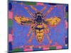 Wasp, 1995-Peter Wilson-Mounted Premium Giclee Print