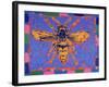 Wasp, 1995-Peter Wilson-Framed Giclee Print