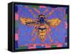 Wasp, 1995-Peter Wilson-Framed Stretched Canvas