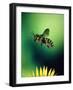 Wasp Hovering Over a Flower-null-Framed Photographic Print