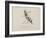 Wasp Playing the Flute From a Collection Of Poems and Songs by Edward Lear-Edward Lear-Framed Giclee Print