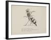 Wasp Playing the Flute From a Collection Of Poems and Songs by Edward Lear-Edward Lear-Framed Giclee Print