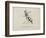 Wasp Playing the Flute From a Collection Of Poems and Songs by Edward Lear-Edward Lear-Framed Giclee Print