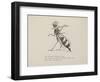 Wasp Playing the Flute From a Collection Of Poems and Songs by Edward Lear-Edward Lear-Framed Giclee Print