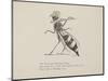 Wasp Playing the Flute From a Collection Of Poems and Songs by Edward Lear-Edward Lear-Mounted Giclee Print