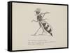 Wasp Playing the Flute From a Collection Of Poems and Songs by Edward Lear-Edward Lear-Framed Stretched Canvas