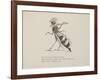 Wasp Playing the Flute From a Collection Of Poems and Songs by Edward Lear-Edward Lear-Framed Giclee Print