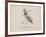 Wasp Playing the Flute From a Collection Of Poems and Songs by Edward Lear-Edward Lear-Framed Giclee Print