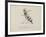 Wasp Playing the Flute From a Collection Of Poems and Songs by Edward Lear-Edward Lear-Framed Giclee Print