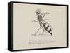 Wasp Playing the Flute From a Collection Of Poems and Songs by Edward Lear-Edward Lear-Framed Stretched Canvas