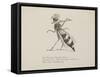 Wasp Playing the Flute From a Collection Of Poems and Songs by Edward Lear-Edward Lear-Framed Stretched Canvas