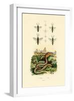 Wasps, 1833-39-null-Framed Giclee Print