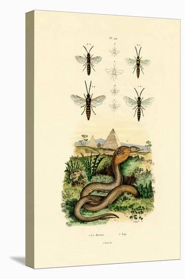 Wasps, 1833-39-null-Stretched Canvas