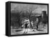 Wassailing Apple Trees with Hot Cider in Devonshire on Twelfth Eve, 1861-null-Framed Stretched Canvas