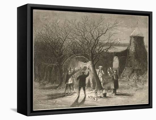 Wassailing Apple Trees with Hot Cider in Devonshire on Twelfth Night-null-Framed Stretched Canvas