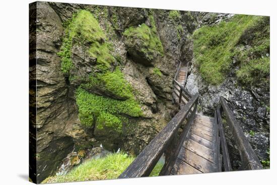 Wasserlochklamm Gorge, Salzatal, Styria, Austria-Rainer Mirau-Stretched Canvas