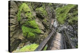 Wasserlochklamm Gorge, Salzatal, Styria, Austria-Rainer Mirau-Stretched Canvas