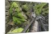 Wasserlochklamm Gorge, Salzatal, Styria, Austria-Rainer Mirau-Mounted Photographic Print