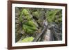 Wasserlochklamm Gorge, Salzatal, Styria, Austria-Rainer Mirau-Framed Photographic Print