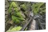 Wasserlochklamm Gorge, Salzatal, Styria, Austria-Rainer Mirau-Mounted Photographic Print