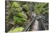 Wasserlochklamm Gorge, Salzatal, Styria, Austria-Rainer Mirau-Stretched Canvas