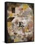 Wasservogel (E. nten)-Paul Klee-Framed Stretched Canvas