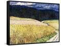 Canvas Black