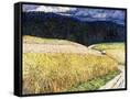 Canvas Black