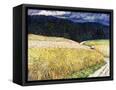 Canvas Black