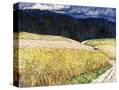 Stretched Canvas