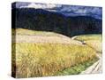 Stretched Canvas