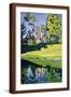 Brown Frame